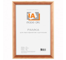 Фоторамка настенная Сосна С21 Б0032237