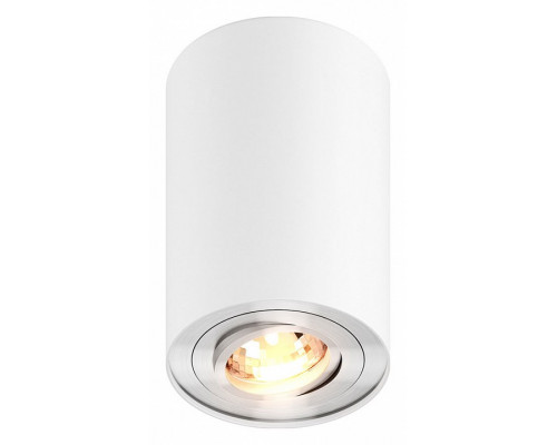 Накладной светильник Zumaline Rondoo 45519