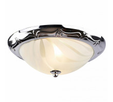 Накладной светильник Arte Lamp Alta A3008PL-2CC