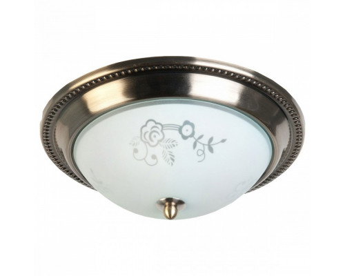 Накладной светильник TopLight Molly TL5020Y-02AB