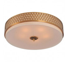 Накладной светильник Divinare Biscotto 4005/01 PL-4