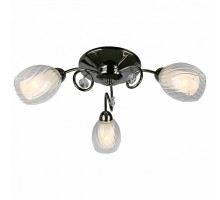 Потолочная люстра Omnilux Anjou OML-31607-03