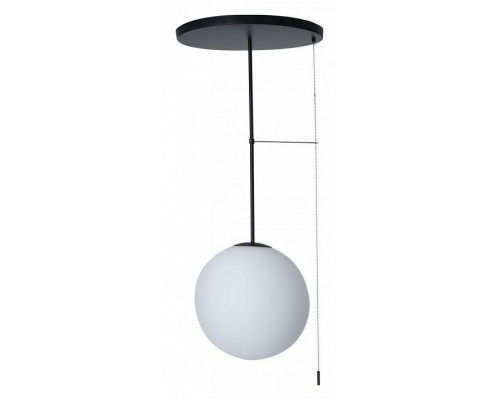 Светильник на штанге Loft it Signal 10029PM Black