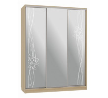 Шкаф-купе Бассо 4-600 волны 2