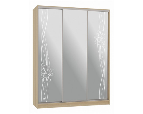 Шкаф-купе Бассо 4-600 волны 2