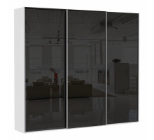 Шкаф-купе Эста Трио