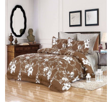 Постельное белье евростандарт Блэки-Небула