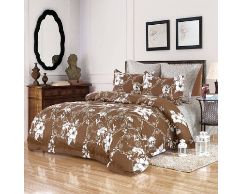 Постельное белье евростандарт Блэки-Небула