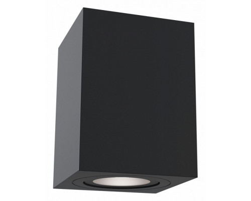 Накладной светильник Maytoni Alfa C017CL-01B