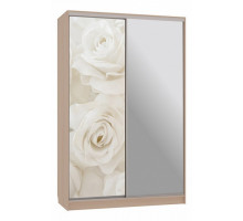 Шкаф-купе Рио 9-600 розы