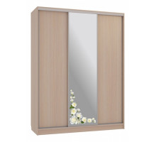 Шкаф-купе Бассо 1-600 розы