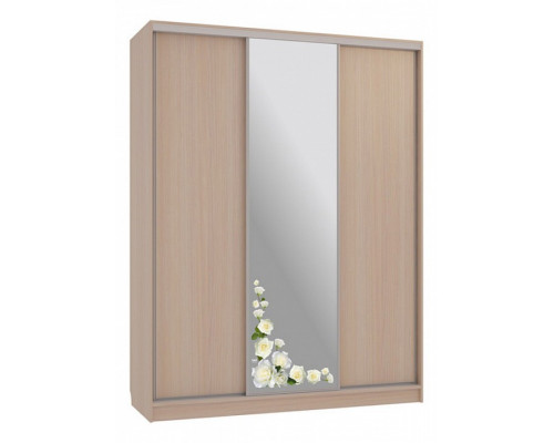 Шкаф-купе Бассо 1-600 розы