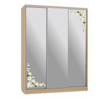 Шкаф-купе Бассо 4-600 розы