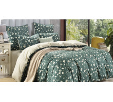 Постельное белье евростандарт Бель