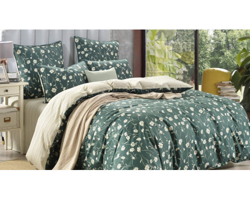 Постельное белье евростандарт Бель