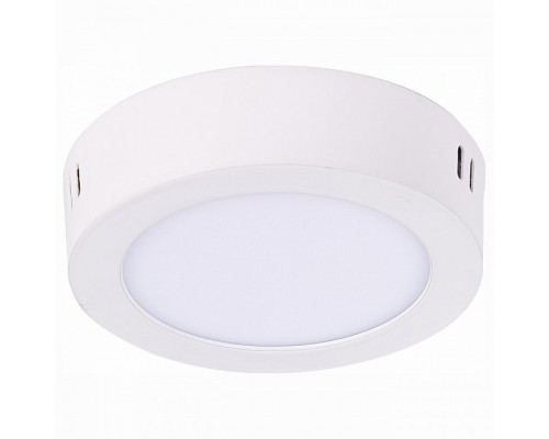 Накладной светильник ST-Luce Nubes