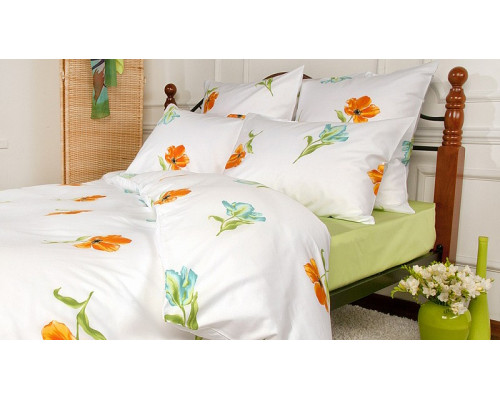 Постельное белье евростандарт Spring melody citrus