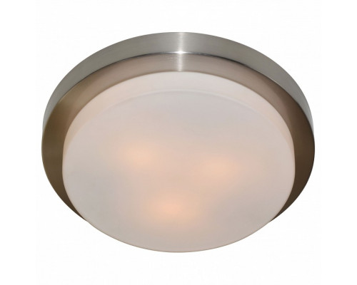 Накладной светильник Arte Lamp Aqua A8510PL-3SS