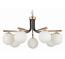 Подвесная люстра EVOLUCE Sonco SLE106803-07