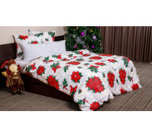 Постельное белье евростандарт Рождественская звезда