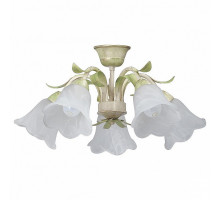 Люстра на штанге Vitaluce V1451 V1451/5PL