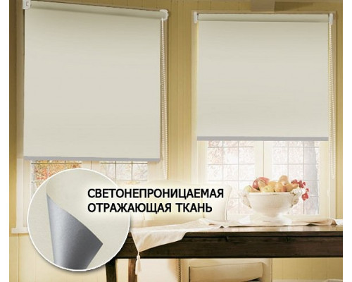 Штора рулонная (48х170 см) Blackout