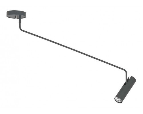 Светильник на штанге Nowodvorski Eye Super Graphite 6631