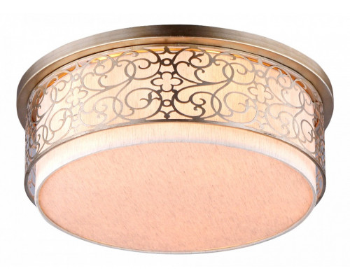 Накладной светильник Maytoni Venera H260-05-N