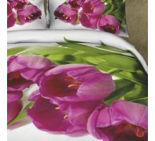 Постельное белье двуспальное Seda TX