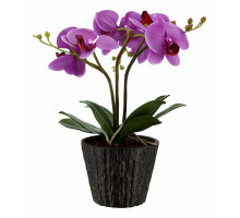 Растение в горшке Globo FlowerPower 28003