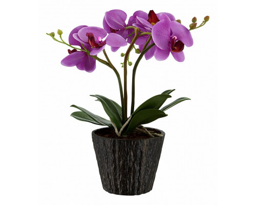 Растение в горшке Globo FlowerPower 28003