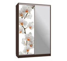 Шкаф-купе Гранд 9-600 83