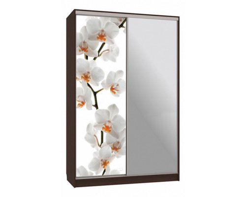 Шкаф-купе Гранд 9-600 83