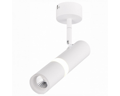 Спот ST-Luce Escopio