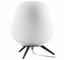 Настольная лампа декоративная Lightstar Arnia 805911