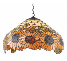 Подвесной светильник Arte Lamp Sunflower A1218SP-2BG
