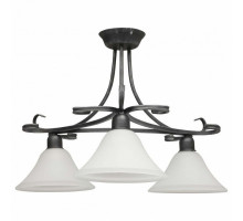 Потолочная люстра Nowodvorski Flores 3526