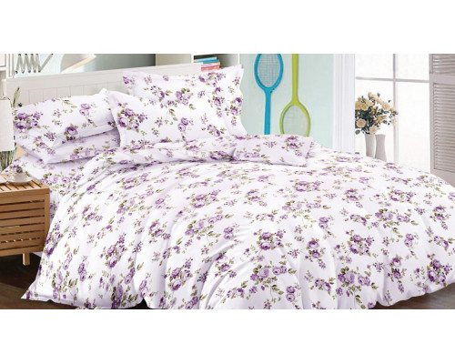 Постельное белье евростандарт Art Color 048-AC