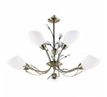 Подвесная люстра Arte Lamp Gardenia A2766LM-6AB