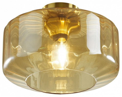 Накладной светильник Odeon Light Binga 4747/1C