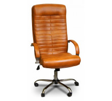 Кресло компьютерное Орион КВ-07-130112-0466