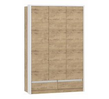 Шкаф платяной Virginia НМ 011.50