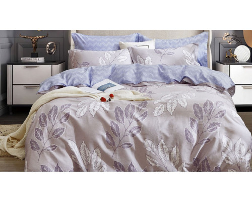 Постельное белье двуспальное Satin de Luxe 782-SK