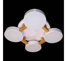 Накладной светильник Natali Kovaltseva 2132 LED LAMPS 81325