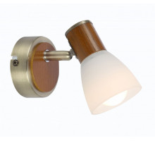 Спот Globo Itasy 54353-1