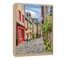 Шкаф-купе Бассо 7-600 Европа