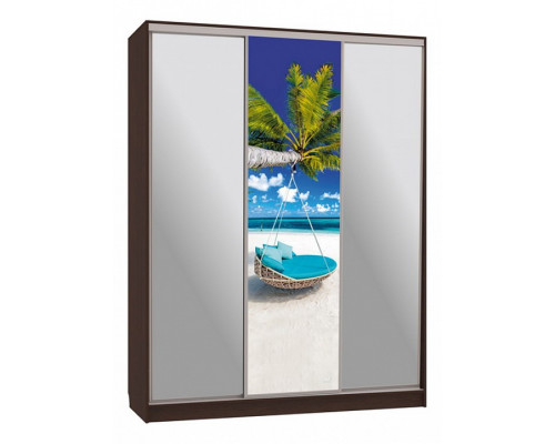 Шкаф-купе Бассо 9-600 77