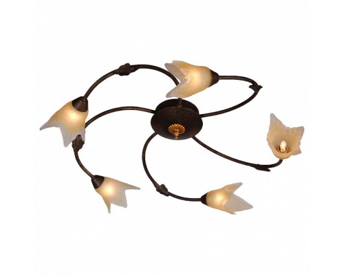 Потолочная люстра Arte Lamp Joy A1050PL-5BR