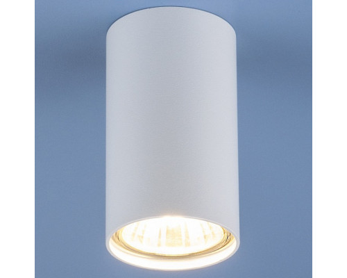 Накладной светильник Elektrostandard  a037712