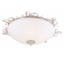 Накладной светильник Maytoni Speria C900-CL-05-W